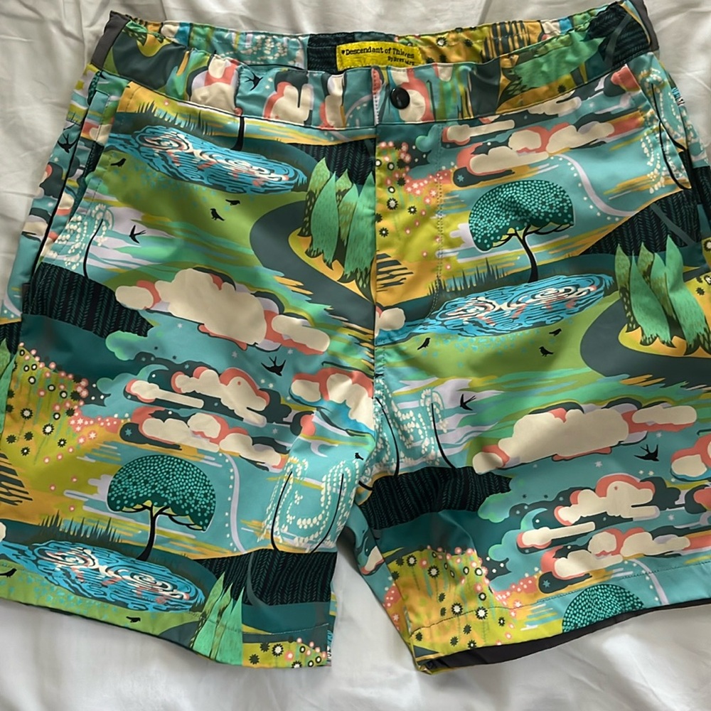 Descendant of Thieves 32  short